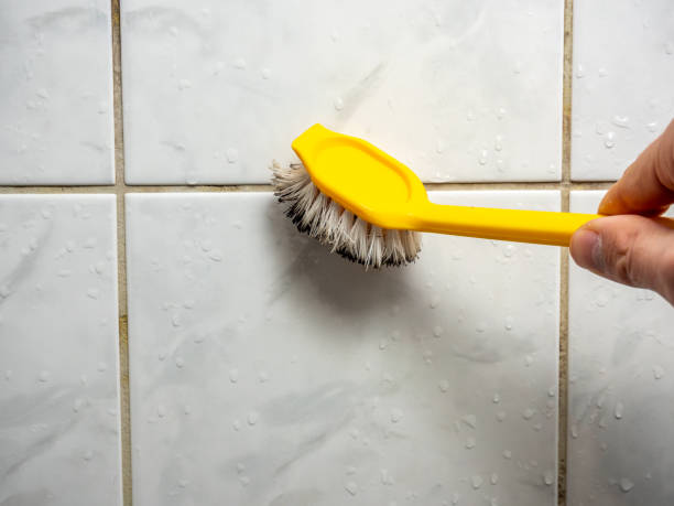 Best Emergency Mold Remediation in Grain Valley, MO