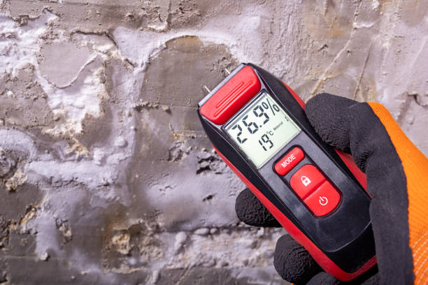 Best Residential Mold Remediation in Grain Valley, MO