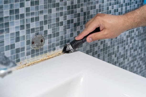 Reliable Grain Valley, MO Mold Remediation Solutions