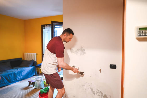 Best Mold Remediation for Specific Building Types in Grain Valley, MO